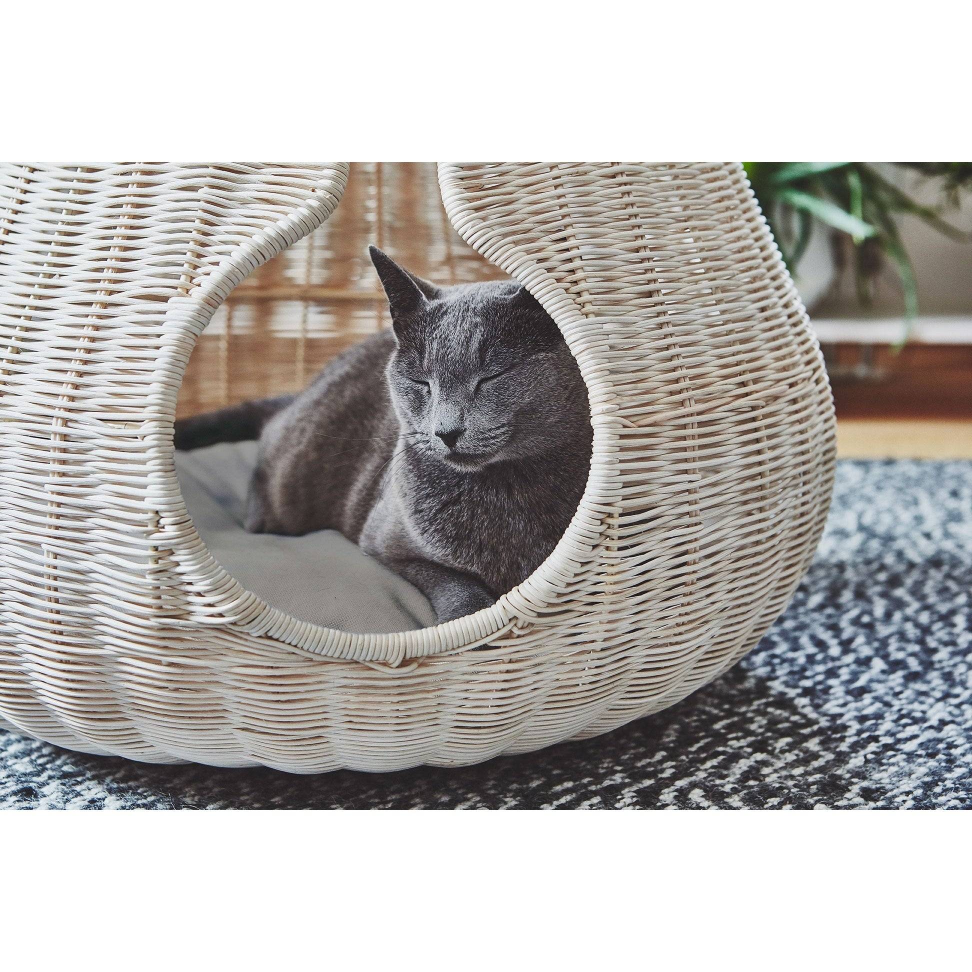 Grey cat resting in MiaCara Perla wicker cat cave, showcasing minimalist German design for contemporary pet furniture