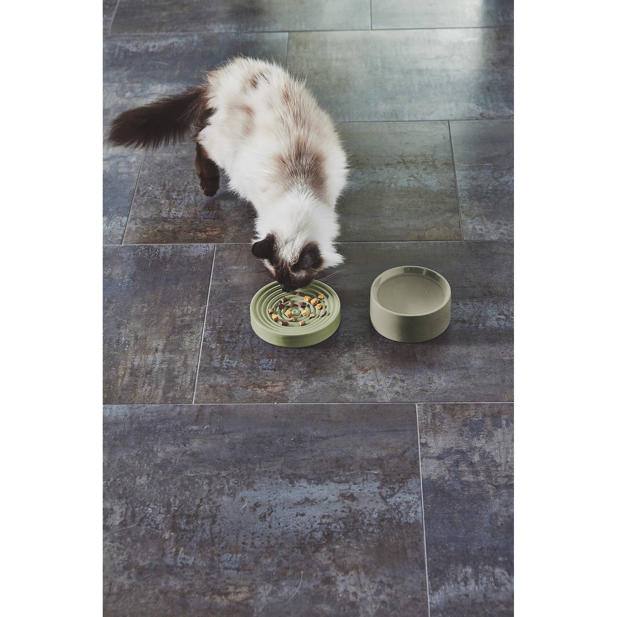 MiaCara Piatto Cat Elevated Bowl - Alternative angle