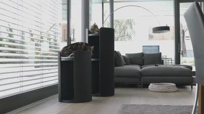 MiaCara Torre Cat Scratching Post lifestyle video