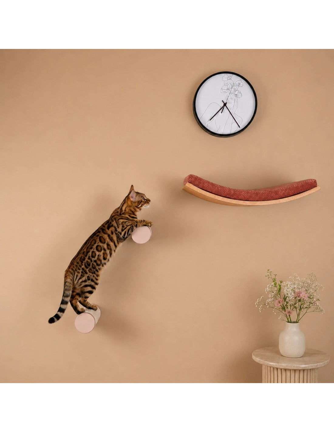 Bengal cat leaping onto a round sisal cat wall step below a curved wall shelf