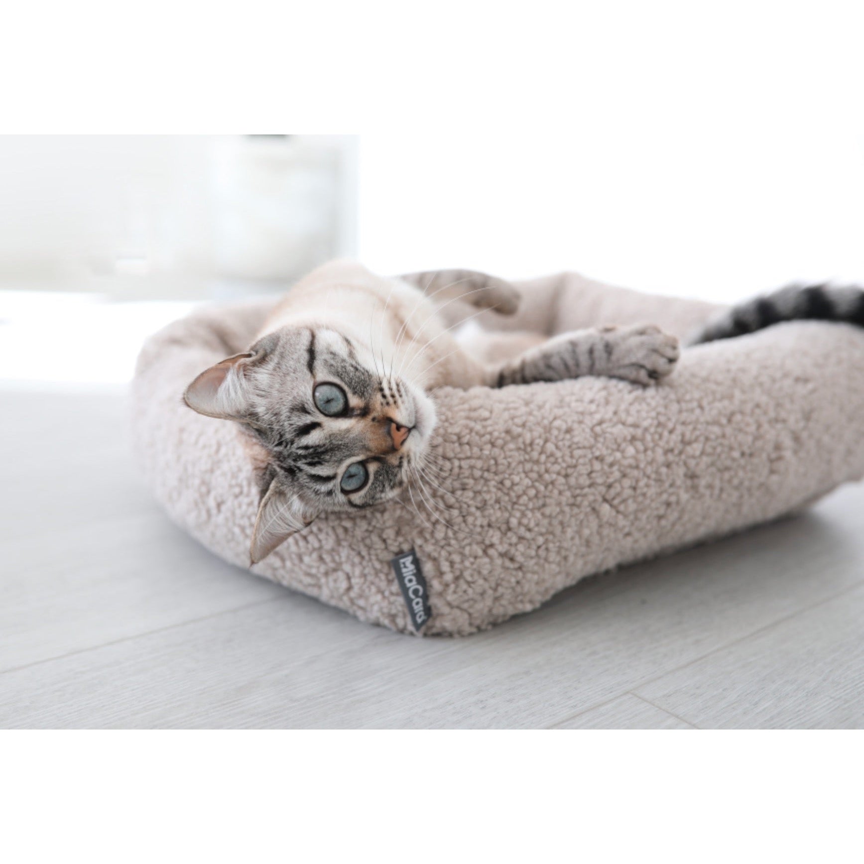 Tabby cat relaxing in MiaCara Senso designer pet bed with sustainable beige sherpa fabric and minimalist design