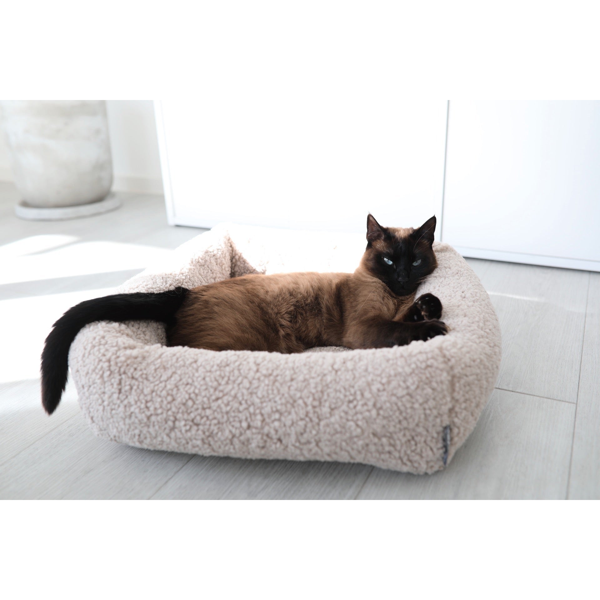 Siamese cat relaxing in MiaCara Senso designer cat bed with sustainable fleece fabric in modern minimalist interior