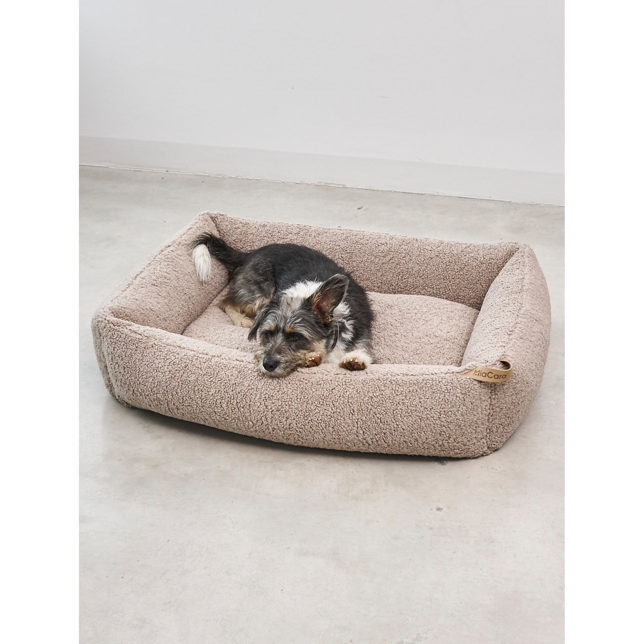 Small Yorkshire Terrier sleeping in beige MiaCara Senso designer dog bed with minimalist German craftsmanship