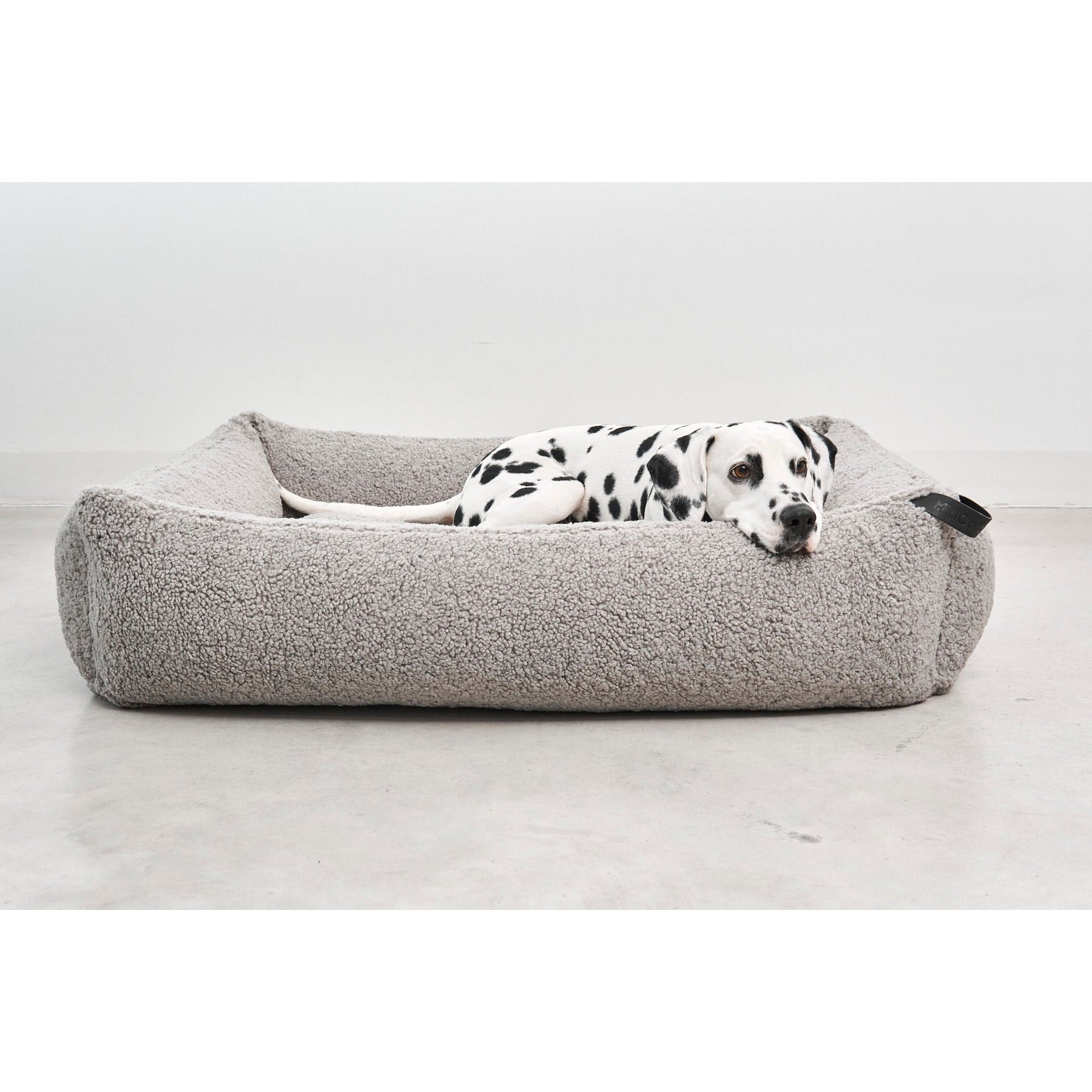 Dalmatian dog resting on minimalist grey designer pet bed with contemporary architectural design and sustainable materials