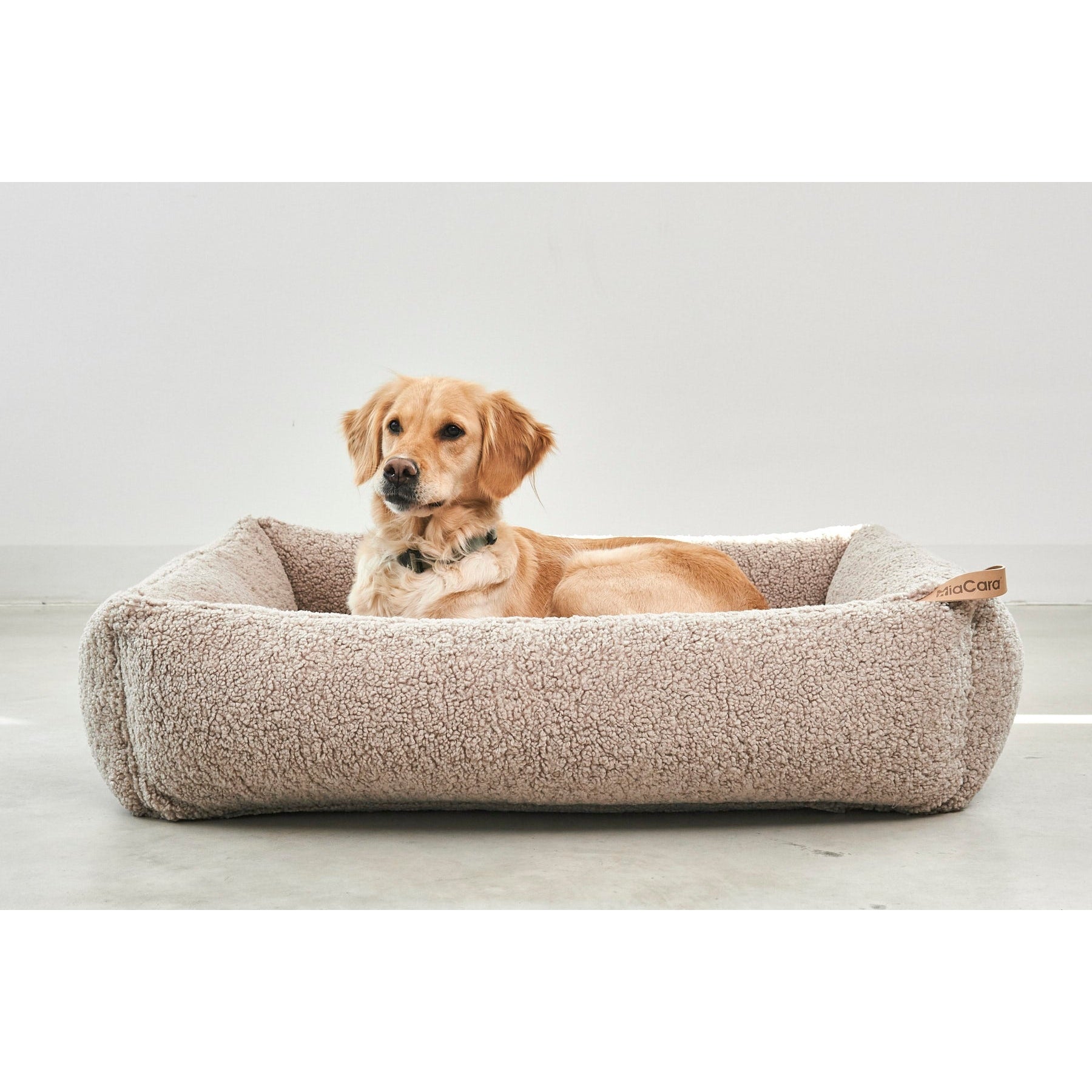 Golden retriever relaxing in MiaCara Senso designer dog bed with sustainable beige fleece German craftsmanship