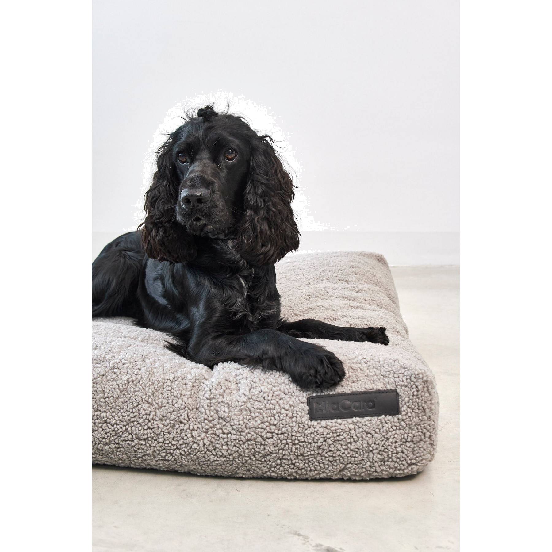 Black cocker spaniel resting on beige MiaCara Senso Cushion Pebble designer dog bed with minimalist German design