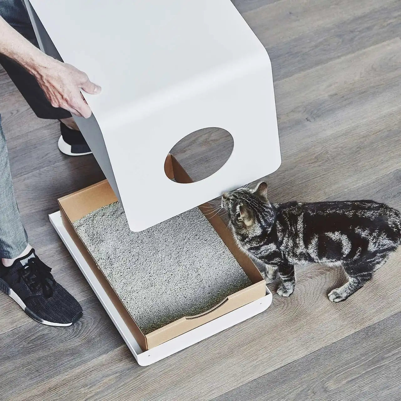 MiaCara Sito litter box carbon filter insert refill - in white
