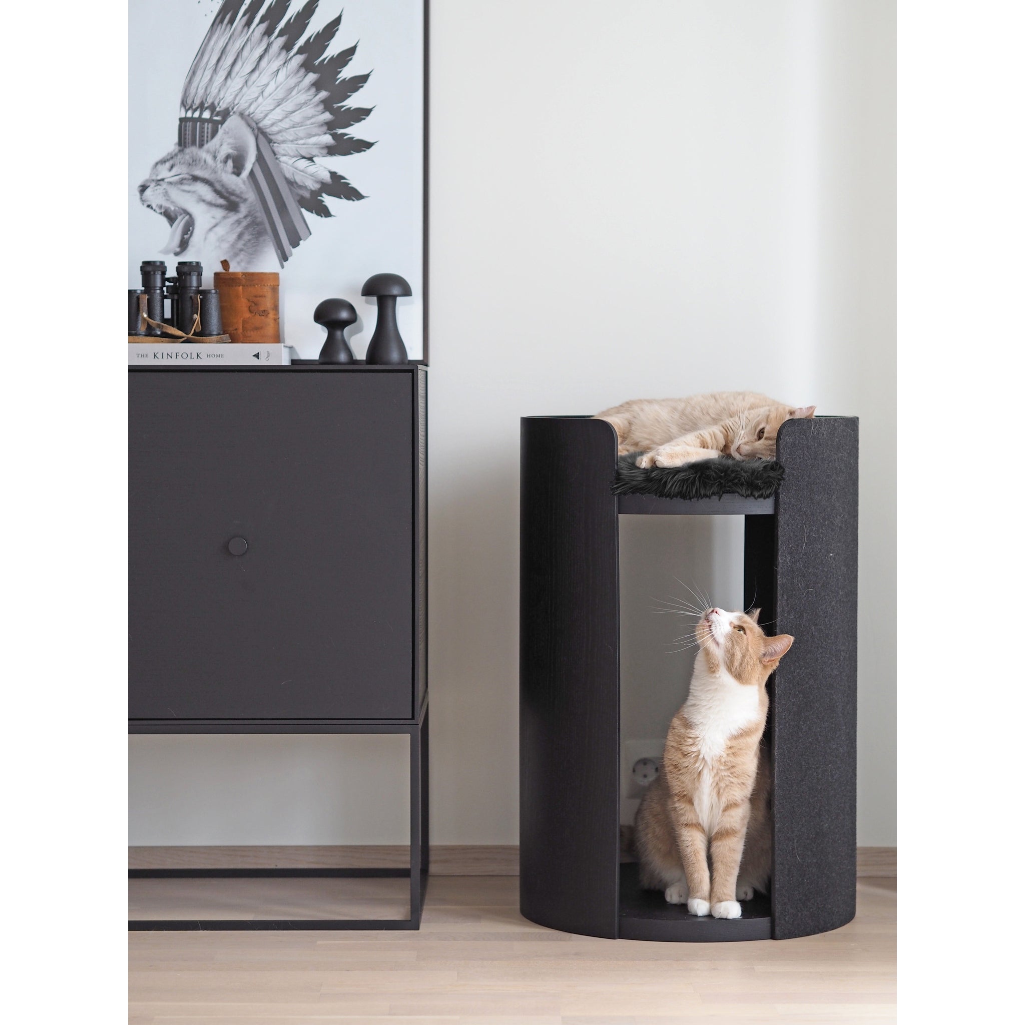 MiaCara Torre modern cat tower with minimalist design featuring two orange cats, German-crafted pet furniture