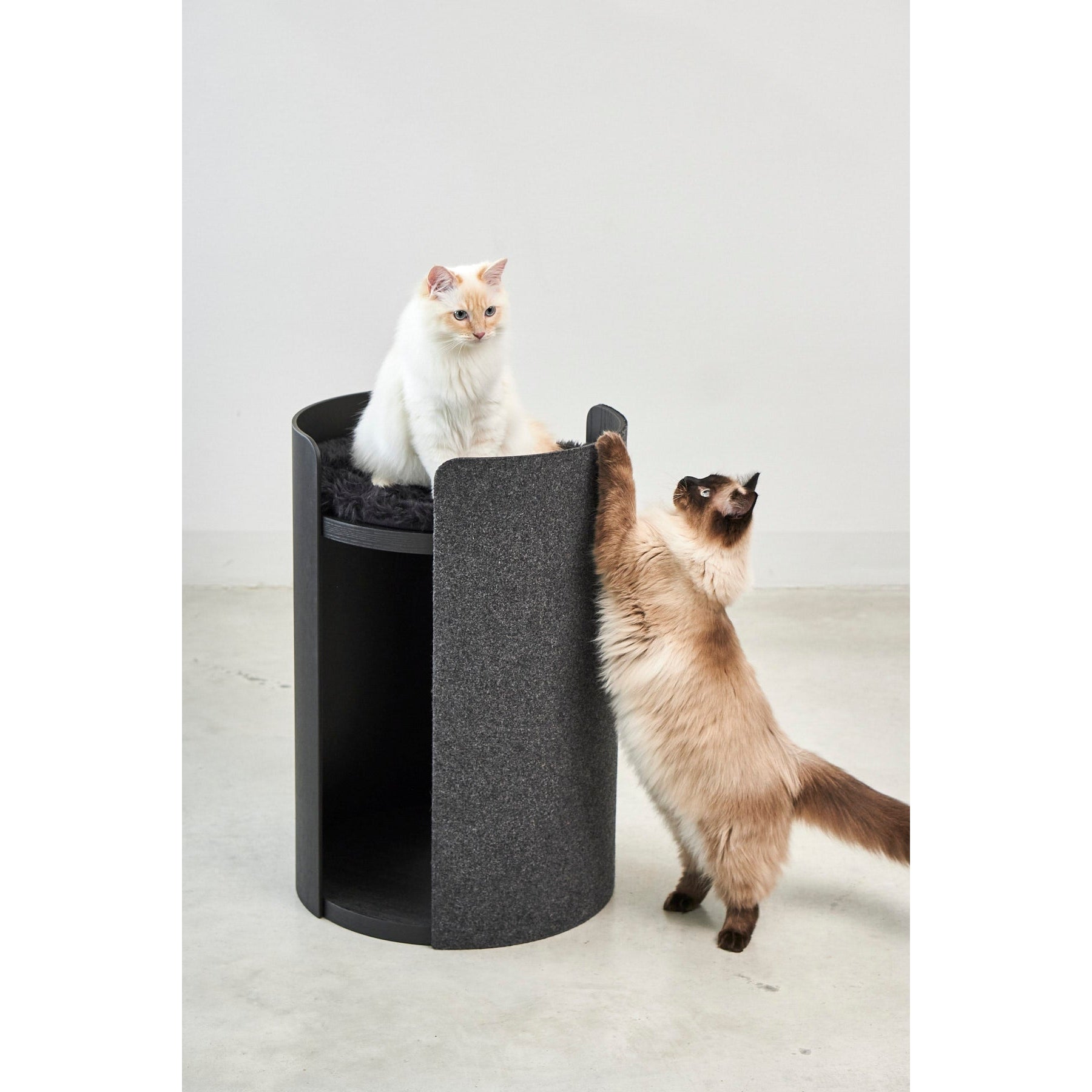 MiaCara Torre minimalist cat tower in charcoal with two cats - modern German design pet furniture for contemporary homes