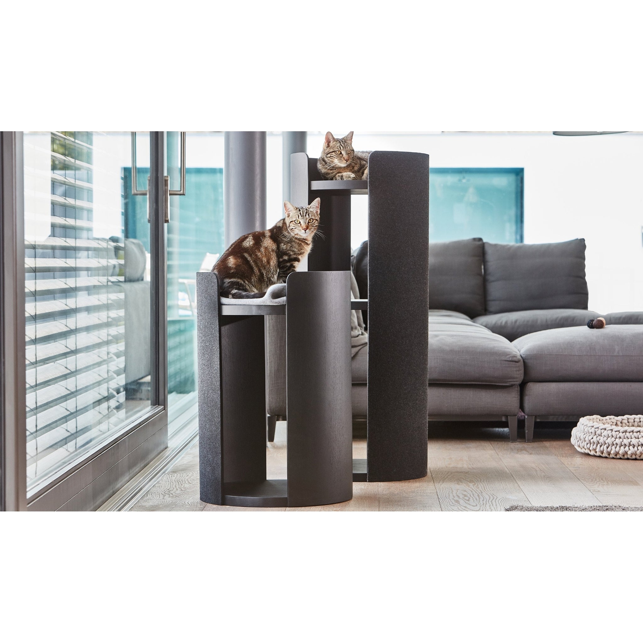 Modern German-designed Torre cat tower in charcoal with two tabby cats, featuring minimalist cylindrical design