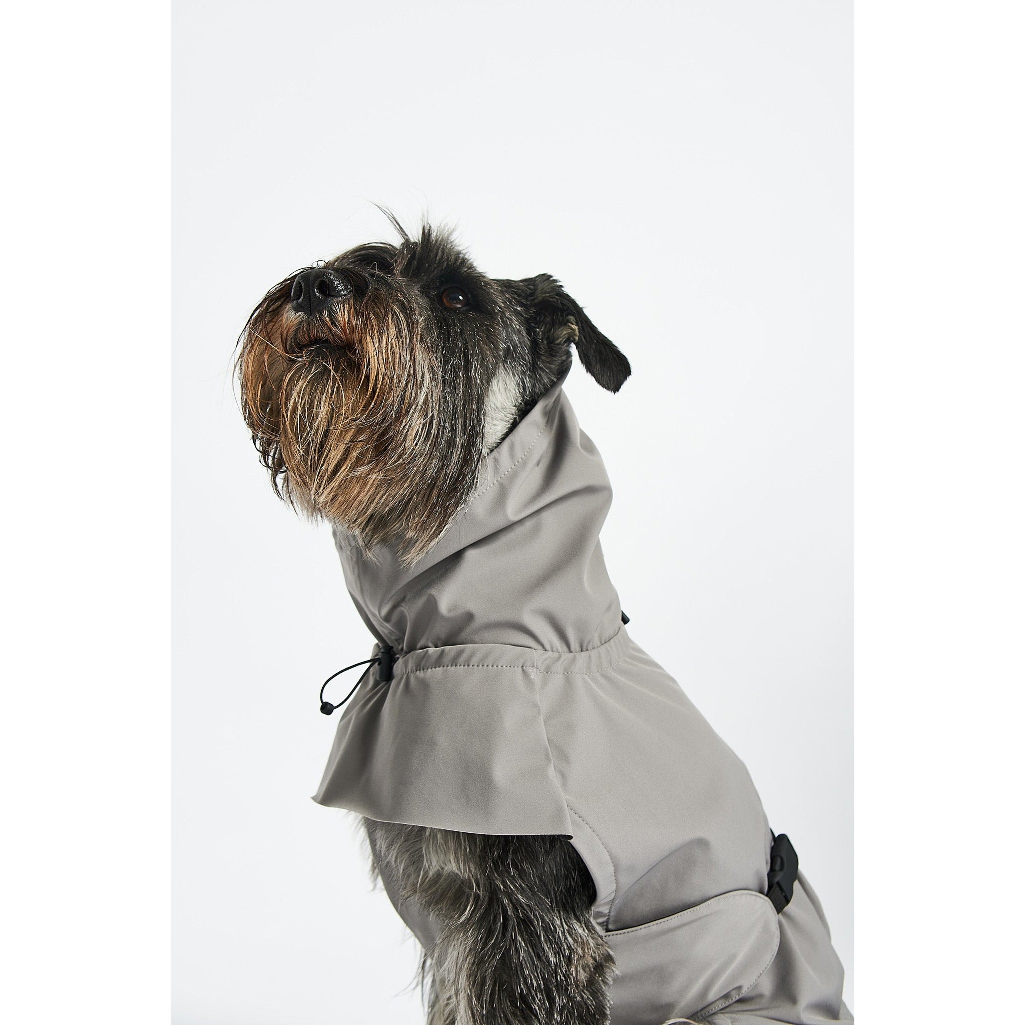 Designer dog raincoat in minimalist grey with hood, showcasing contemporary German pet fashion and style