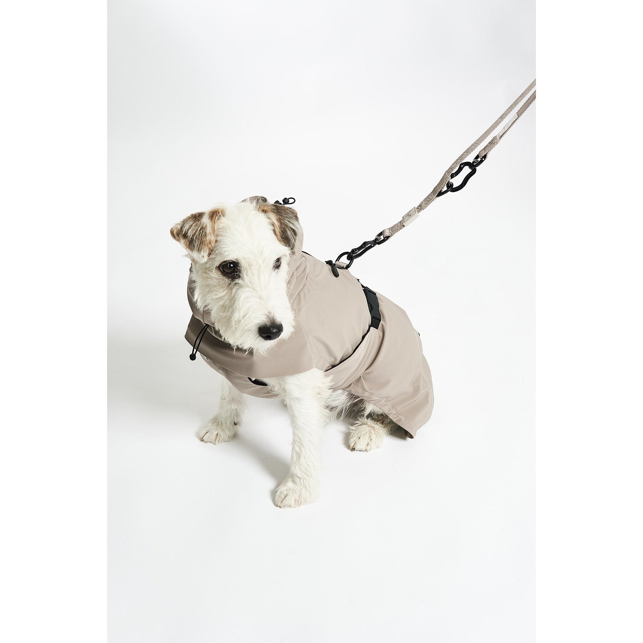 Small dog wearing beige MiaCara Valentina designer rain coat with matching leash, showcasing minimalist German design