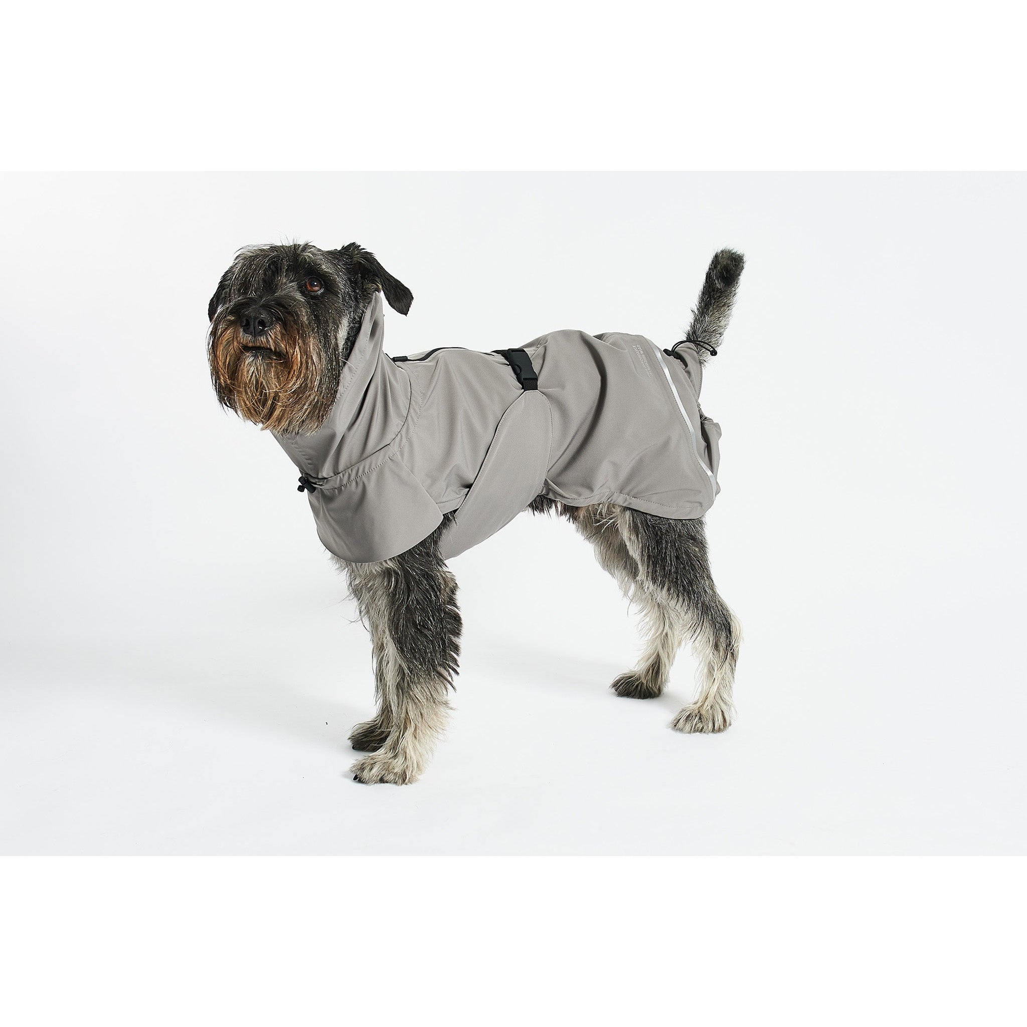 Designer grey dog raincoat by MiaCara showing minimalist German design with contemporary aesthetic on terrier