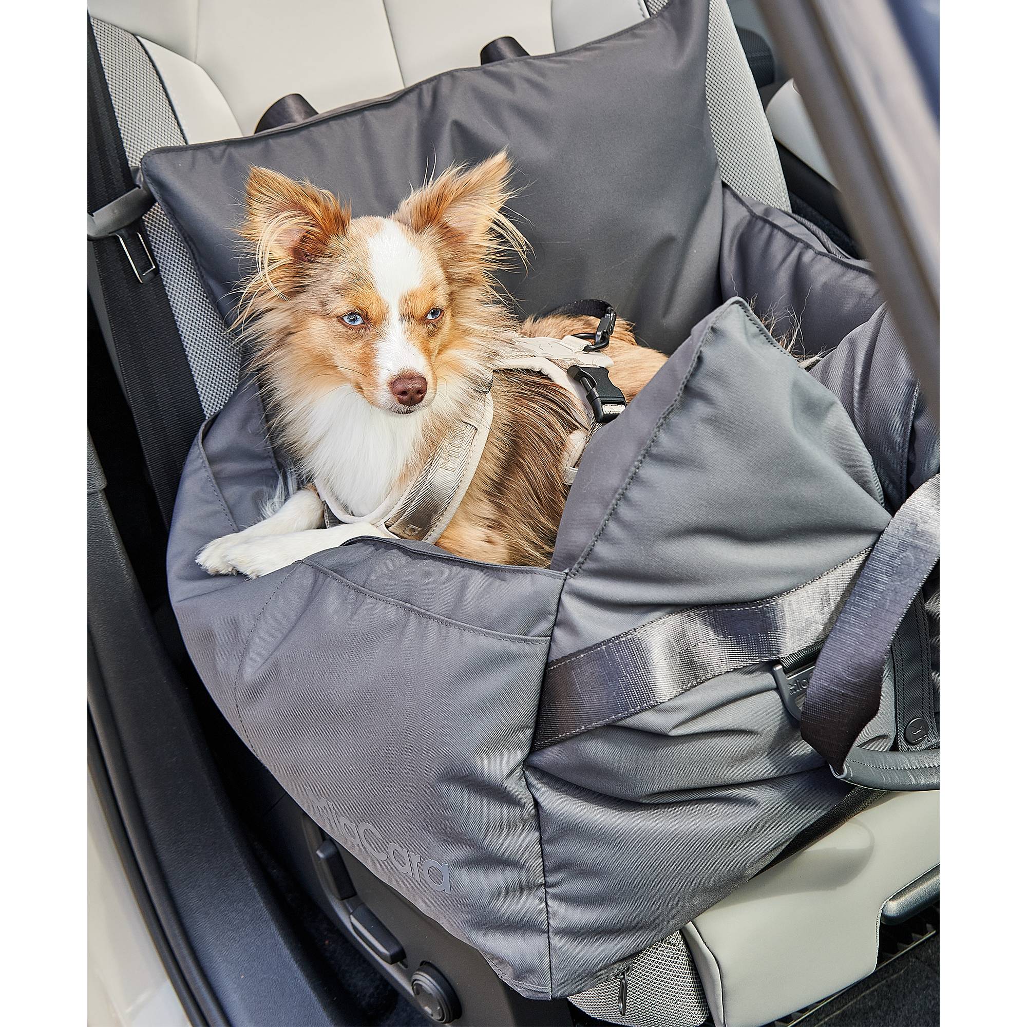 German-designed Viaggio travel dog bed detail view showing minimalist construction