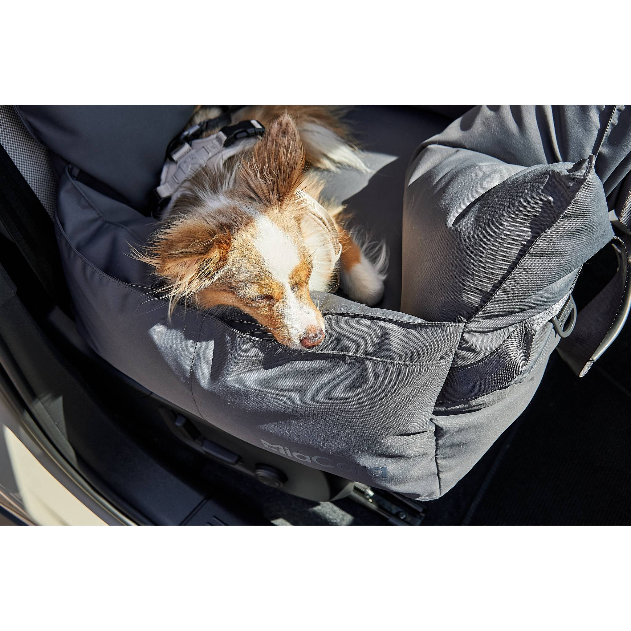 Detail view of MiaCara Viaggio designer travel bed showcasing German minimalist construction