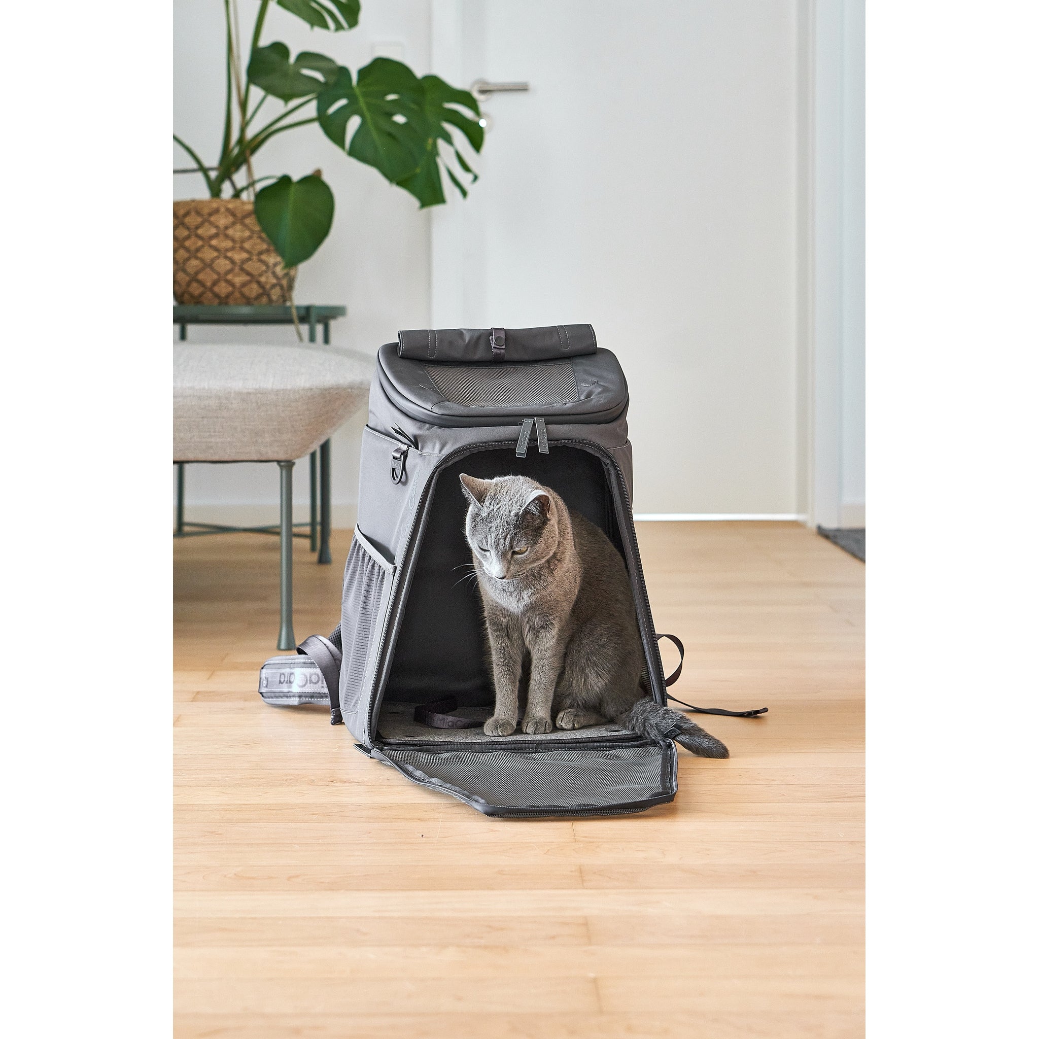 MiaCara Zaino Cat Designer Backpack - Image 5